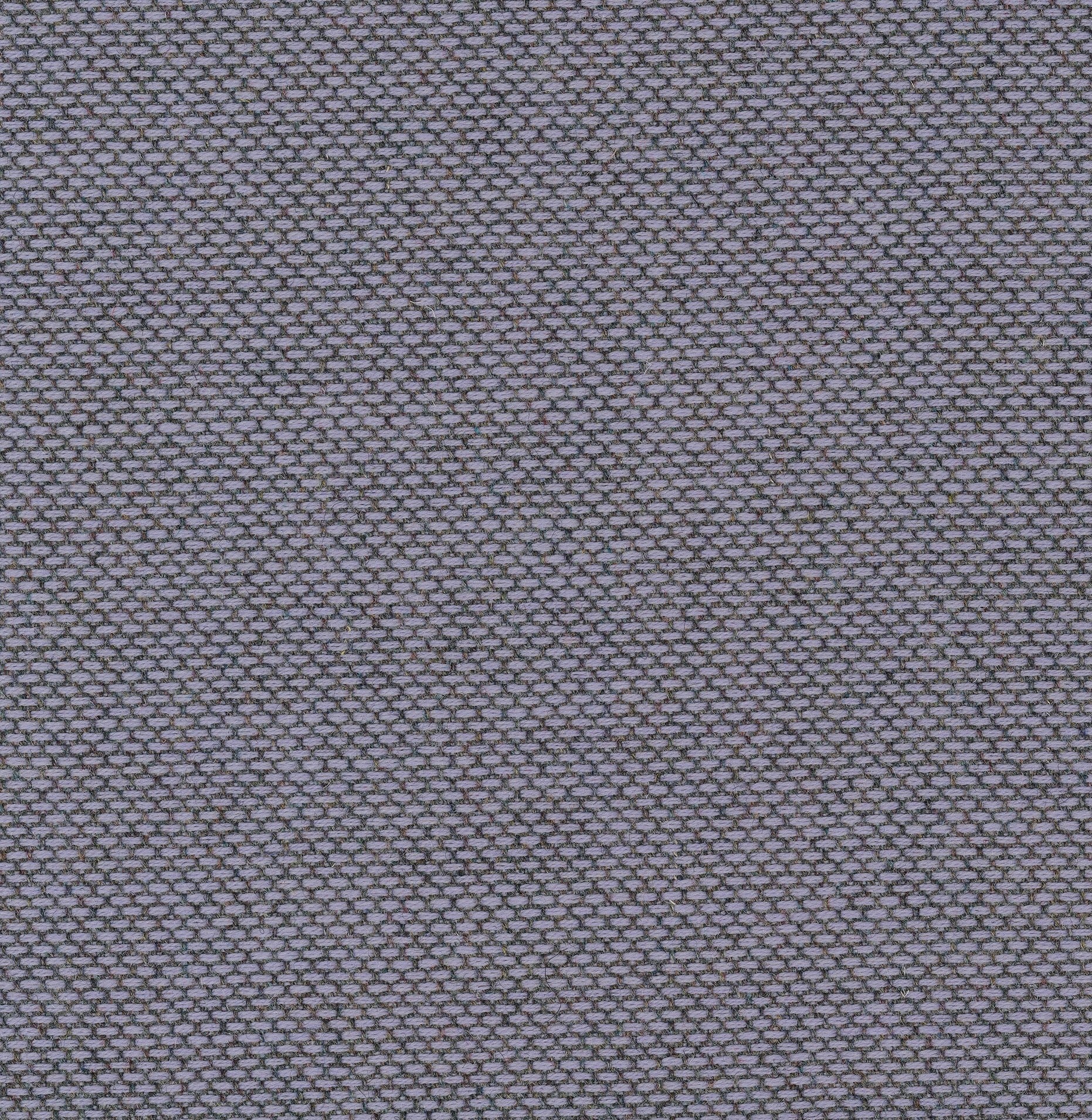 Grey Wool