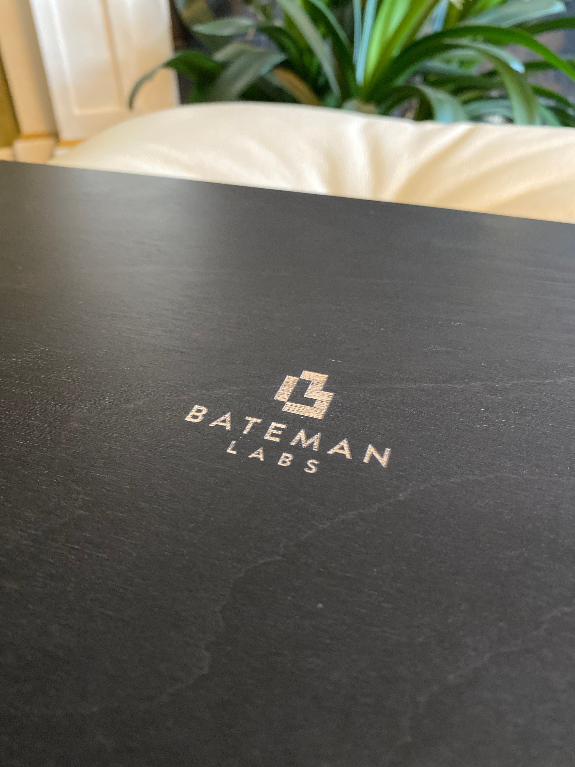 POÄNG Lap Desk – Bateman Labs